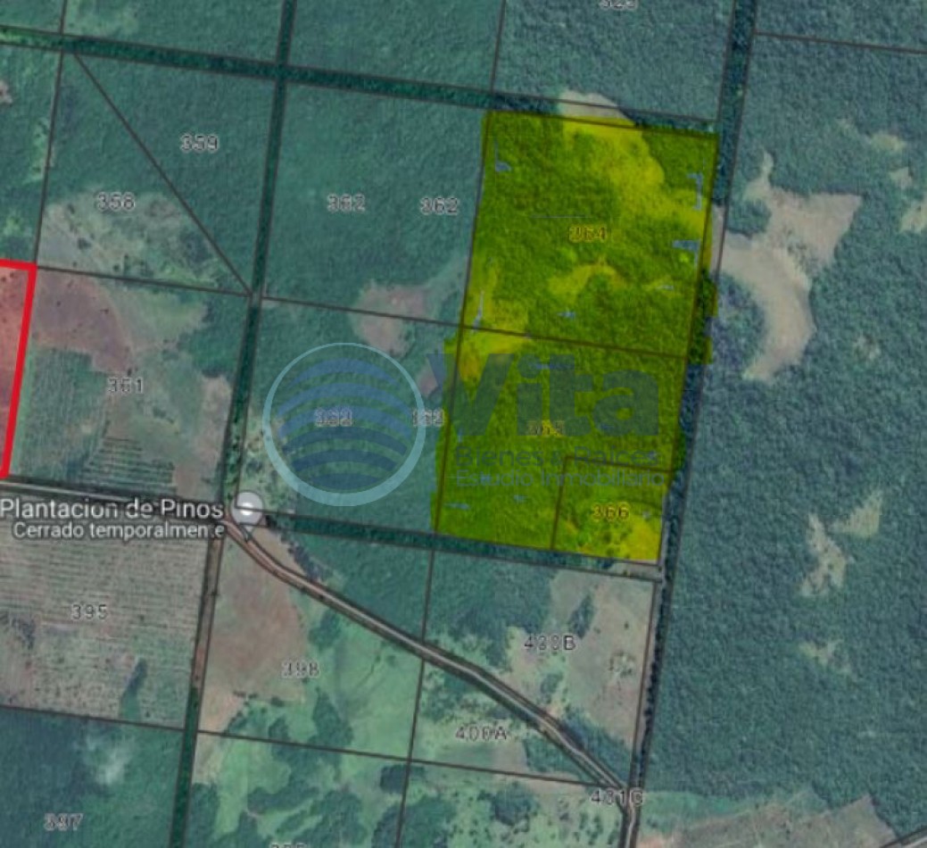 CHACRA EN VENTA EN SAN JOSE/MISIONES  50 HA